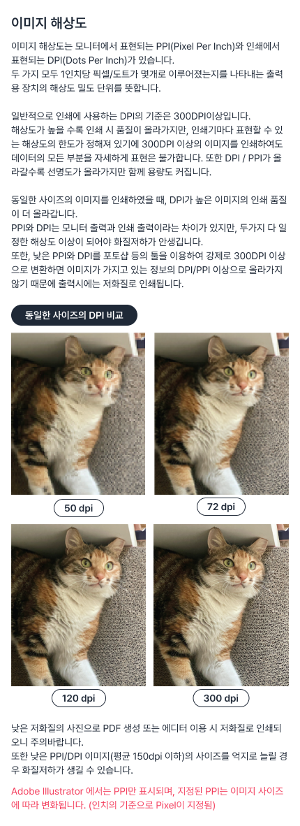 모바일버전 이미지